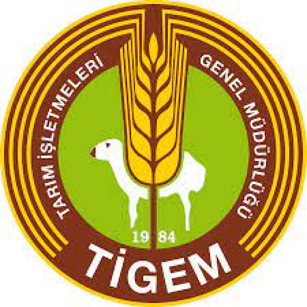 İhaleye Davet (Ürün Paylaşımlı Dalında Fıstık Satış İhalesi)