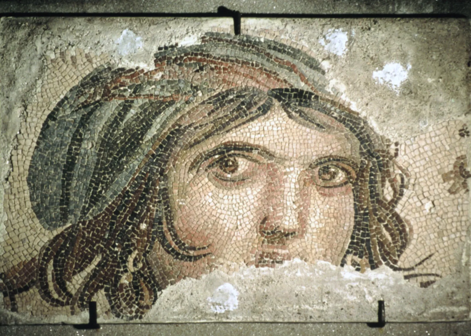 Proje Fotoğrafı